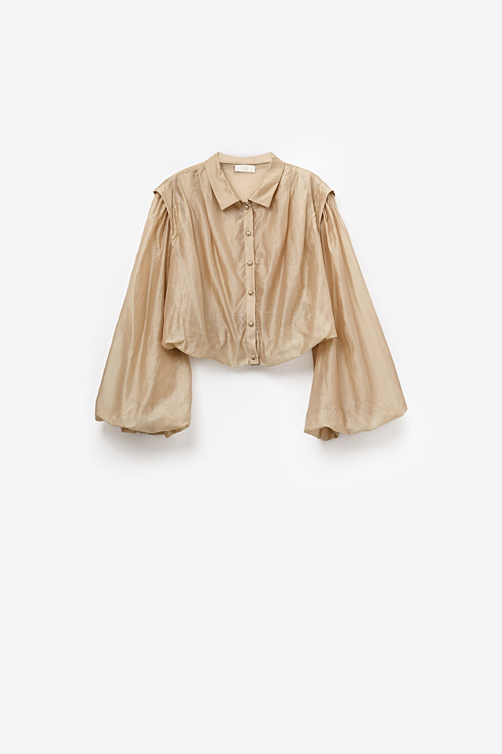 Soie Tencel Balloon Sleeve Blouse
