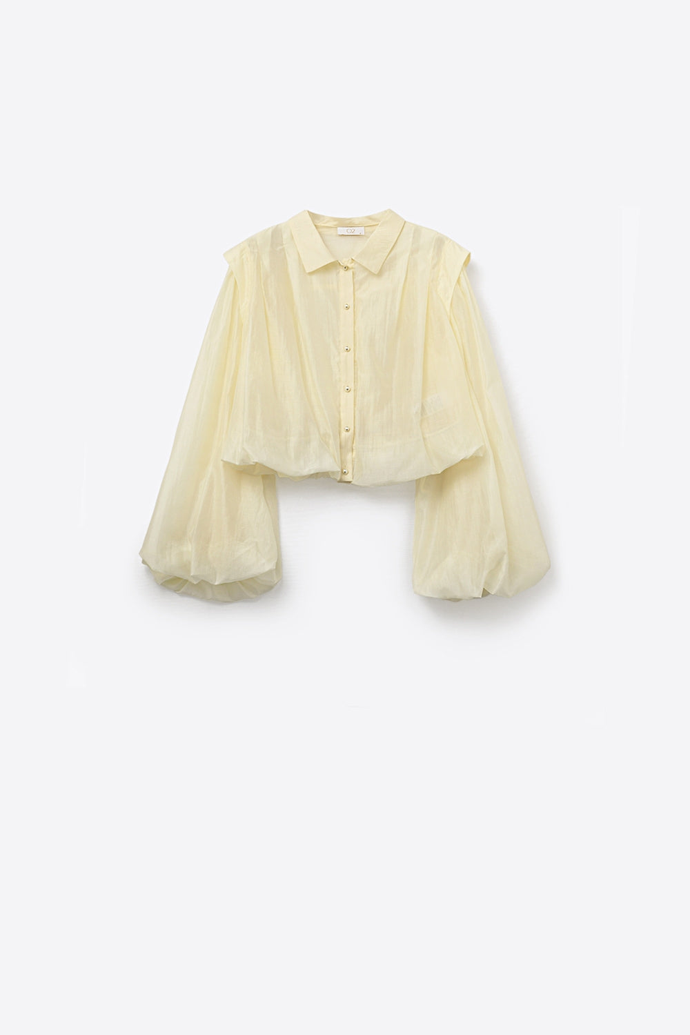 Soie Tencel Balloon Sleeve Blouse